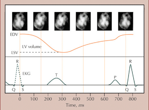 vol_curves